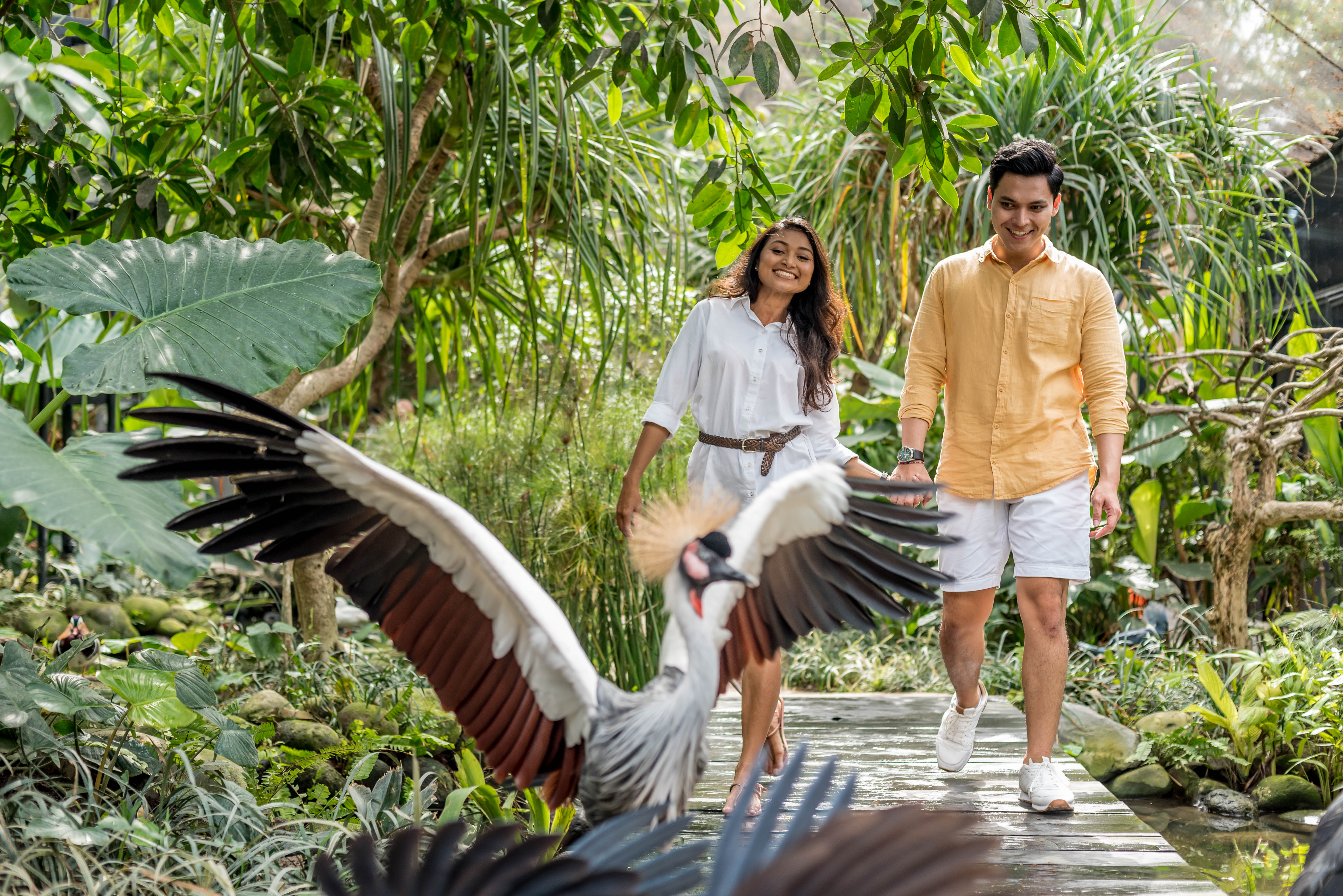 Bali Bird Park (Adult) - Domestic